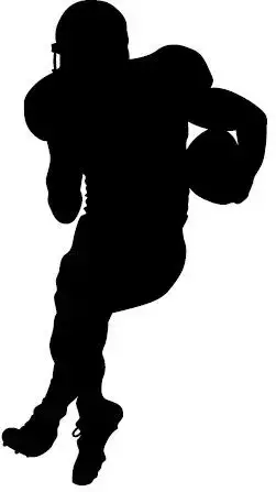 Minnesota Vikings. Silhouette of professional american football