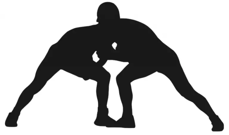 What Is Folkstyle Wrestling? Definition & Meaning On SportsLingo