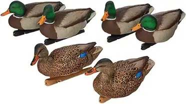 https://www.sportslingo.com/wp-content/uploads/2022/05/photo_Avian-X-Top-Flight-Duck-Open-Water-Mallard-Decoy.jpg?ezimgfmt=rs:372x210/rscb1/ng:webp/ngcb1